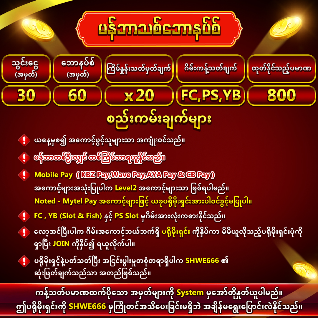 3,000ကျပ်ရှိရုံနဲ့_ပလေးနိုင်မဲ့